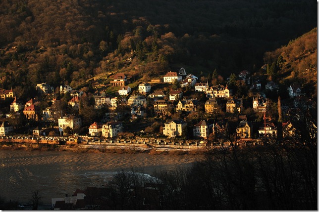 The town at the Rhine bank